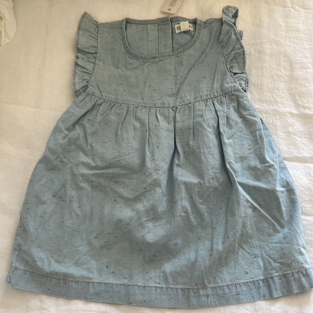 Gymboree Chambray Ruffle Sleeve Dress with Bloomers